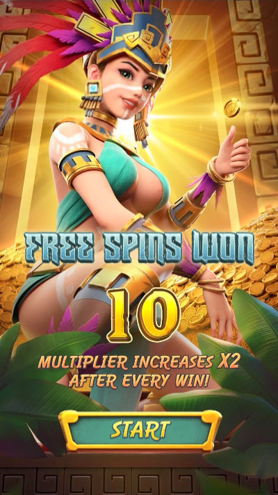 Tj sports bet