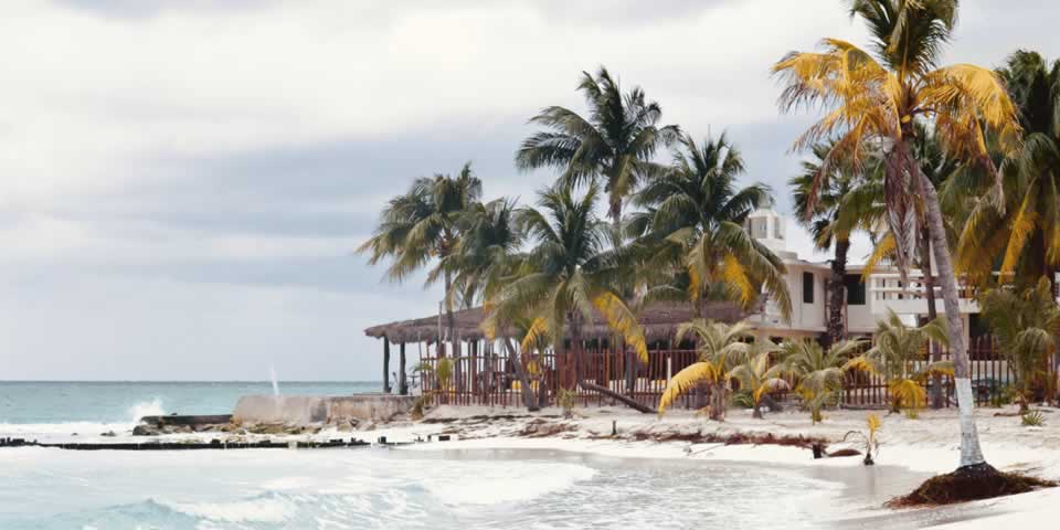 Vivo fale conosco