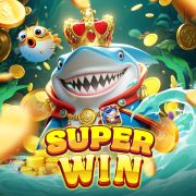 Tim live login